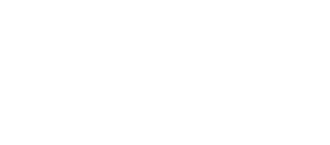nfon white logo