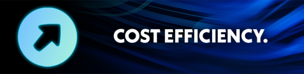 cost efficiency cost efficiency