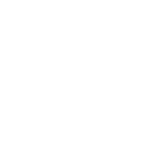 thirteen group